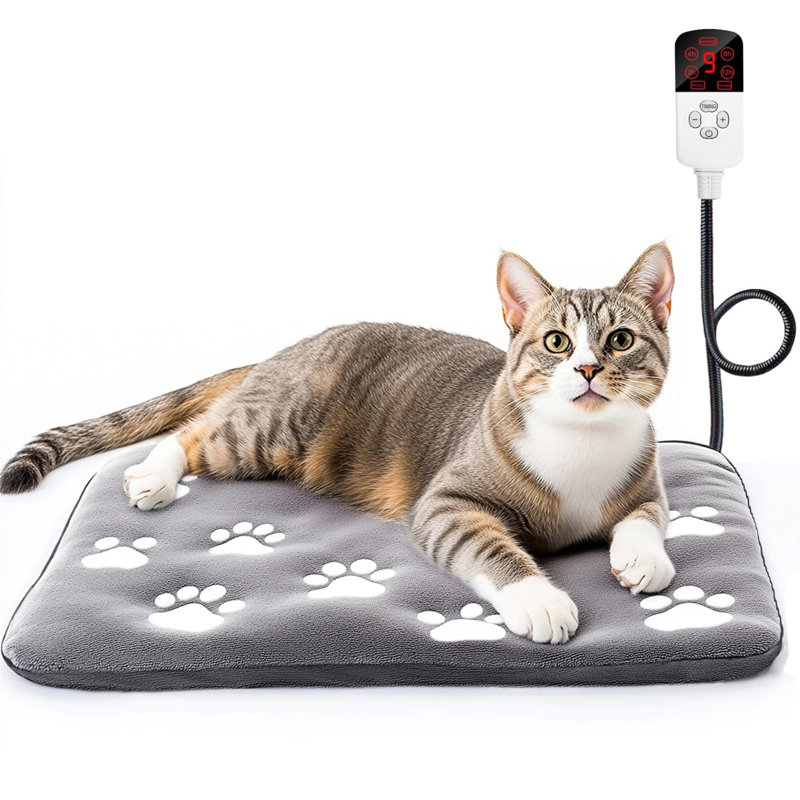 Cats and heating pads best sale